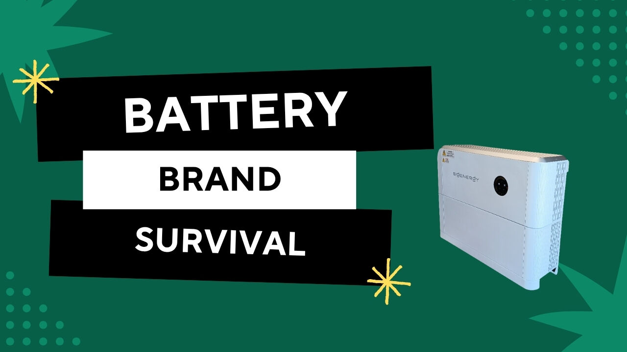 Battery Brand Survival: Choosing a Manufacturer That Will Still Be Here in 2036